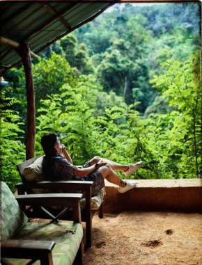 Knuckles Backpackers Hut with waterfall view